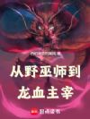 从野巫师到龙血主宰